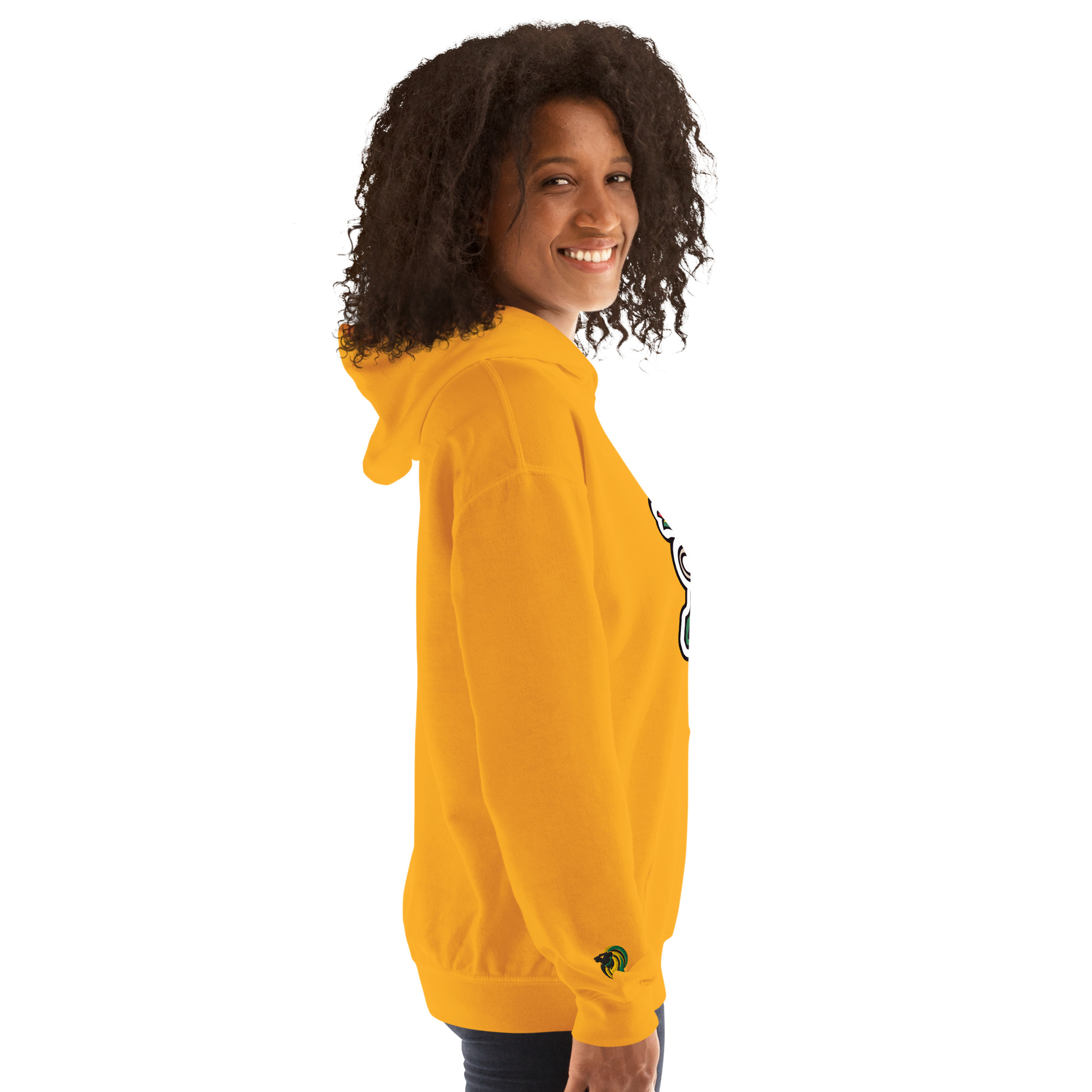 Lion of Judah Hoodie 1 - Image 75