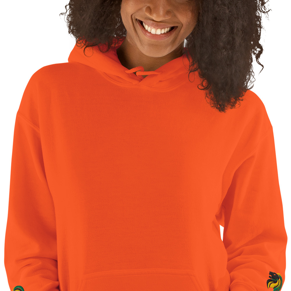 Lion of Judah Hoodie 1 - Image 70